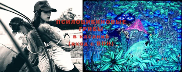 MDMA Богородск