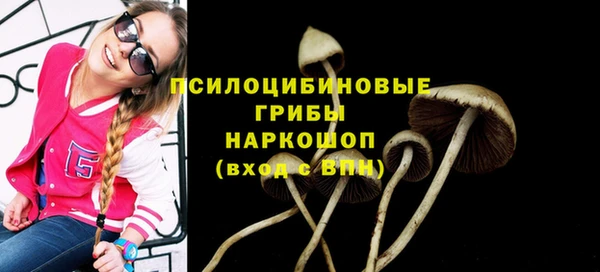 амфетамин Богородицк