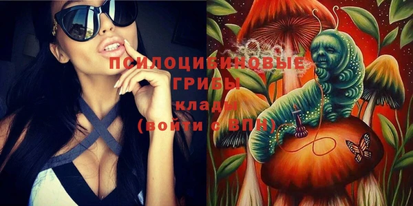 не бодяженный Богданович